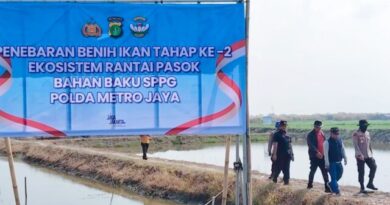 Ditpolairud Polda Metro Jaya Tebar 300 Ribu Benih Udang Windu di Muaragembong Bekasi