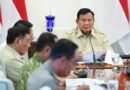 Presiden Prabowo Perintahkan Penanganan Karhutla di Tanjung Puting Jadi Perhatian Khusus