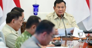 Presiden Prabowo Perintahkan Penanganan Karhutla di Tanjung Puting Jadi Perhatian Khusus